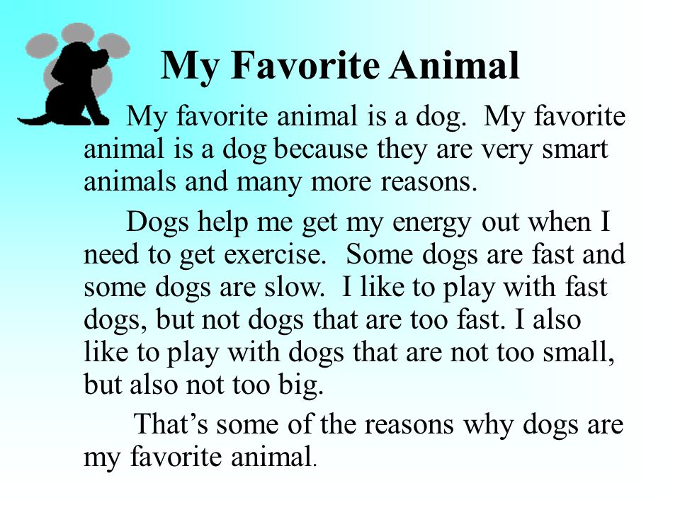 Essay on My Favorite Animal Dog For Kids & Students